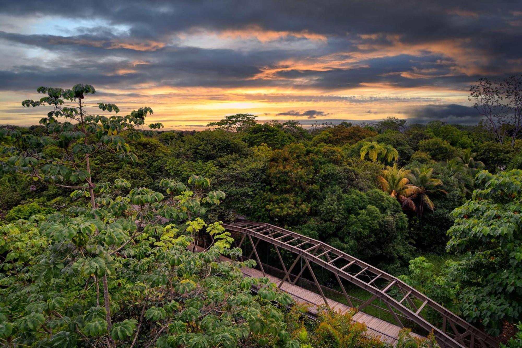 Botanika Osa Peninsula, Curio Collection By Hilton 4* Puerto Jiménez